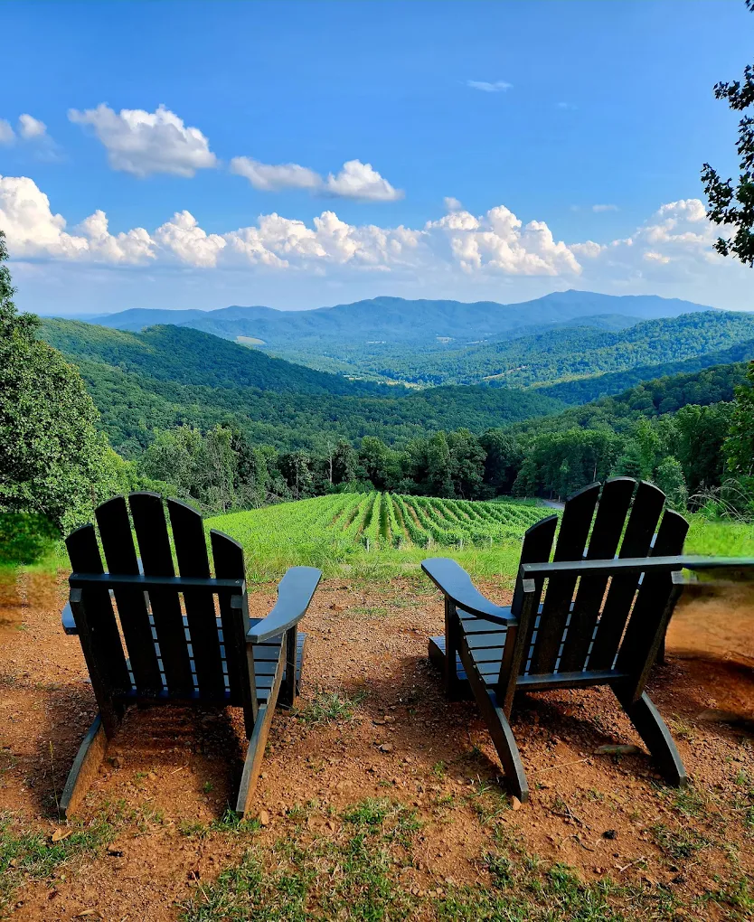 Ankida Ridge Vineyard
