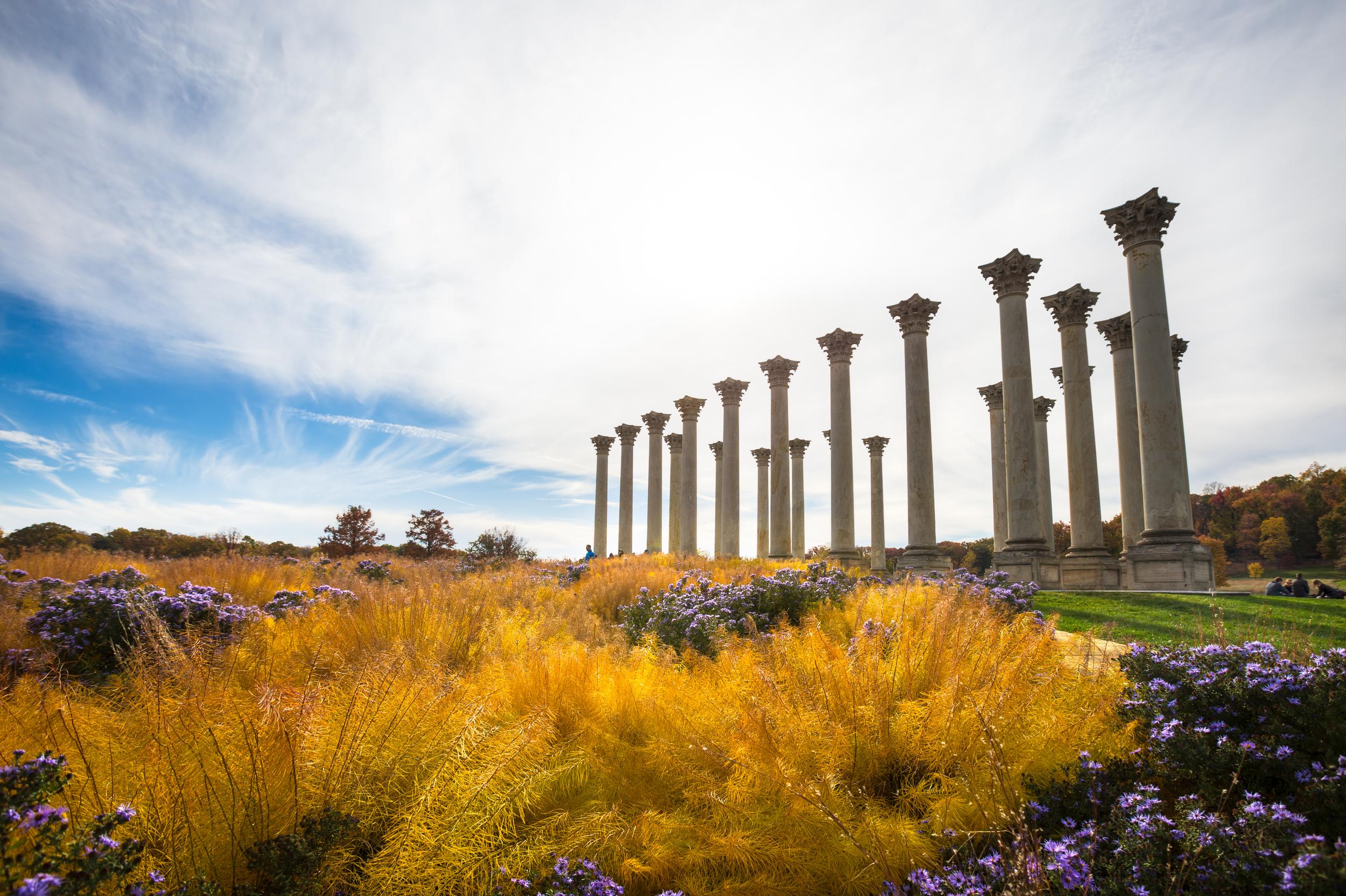 The National Arboretum